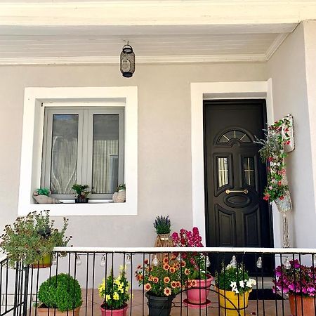 Leo'S City Apartment Lefkada City Exterior photo